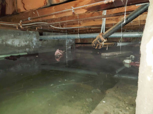 Best Emergency water extraction  in Thornport, OH