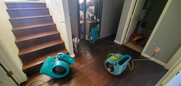 Best Flood damage cleanup  in Thornport, OH
