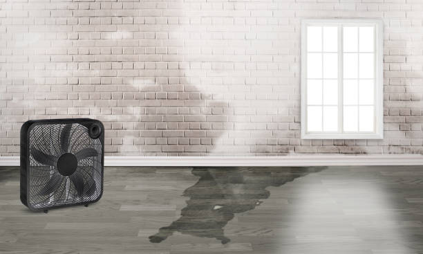 Best Fire Damage Restoration  in Thornport, OH