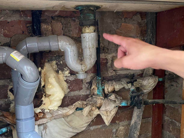 Best Water damage restoration cost  in Thornport, OH